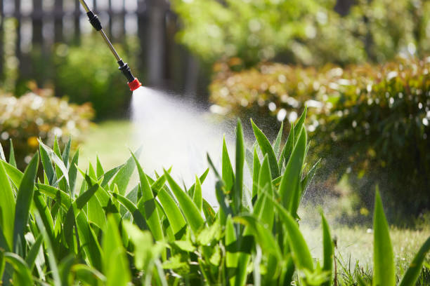 24/7 Emergency Cockroach Control experts in San Buenaventura, CA