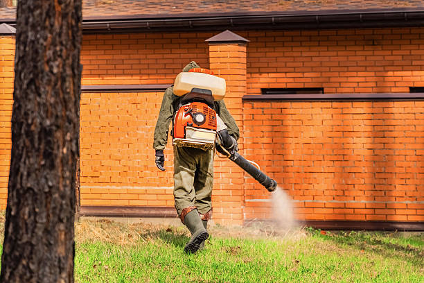 Trusted Mosquito Control service in San Buenaventura, CA - Nex Pest Control